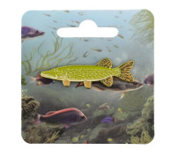 Ženkliukas Europinė lydeka